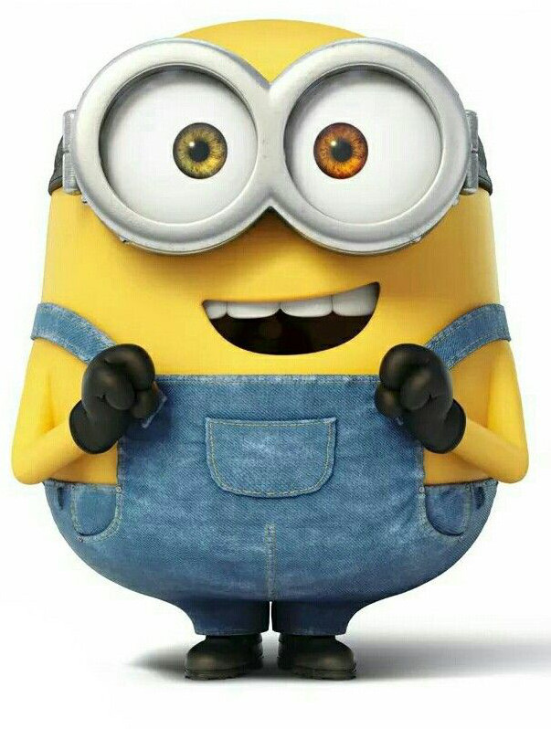 image of minion bob